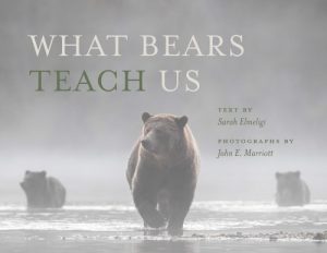 What Bears Teach Us cover
