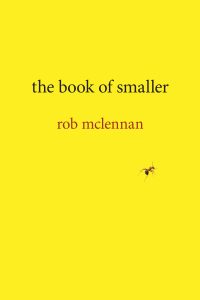 the book of smaller - Book Cover.
