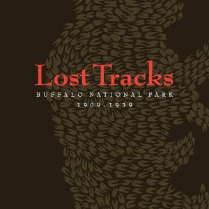 Book Cover: Lost Tracks